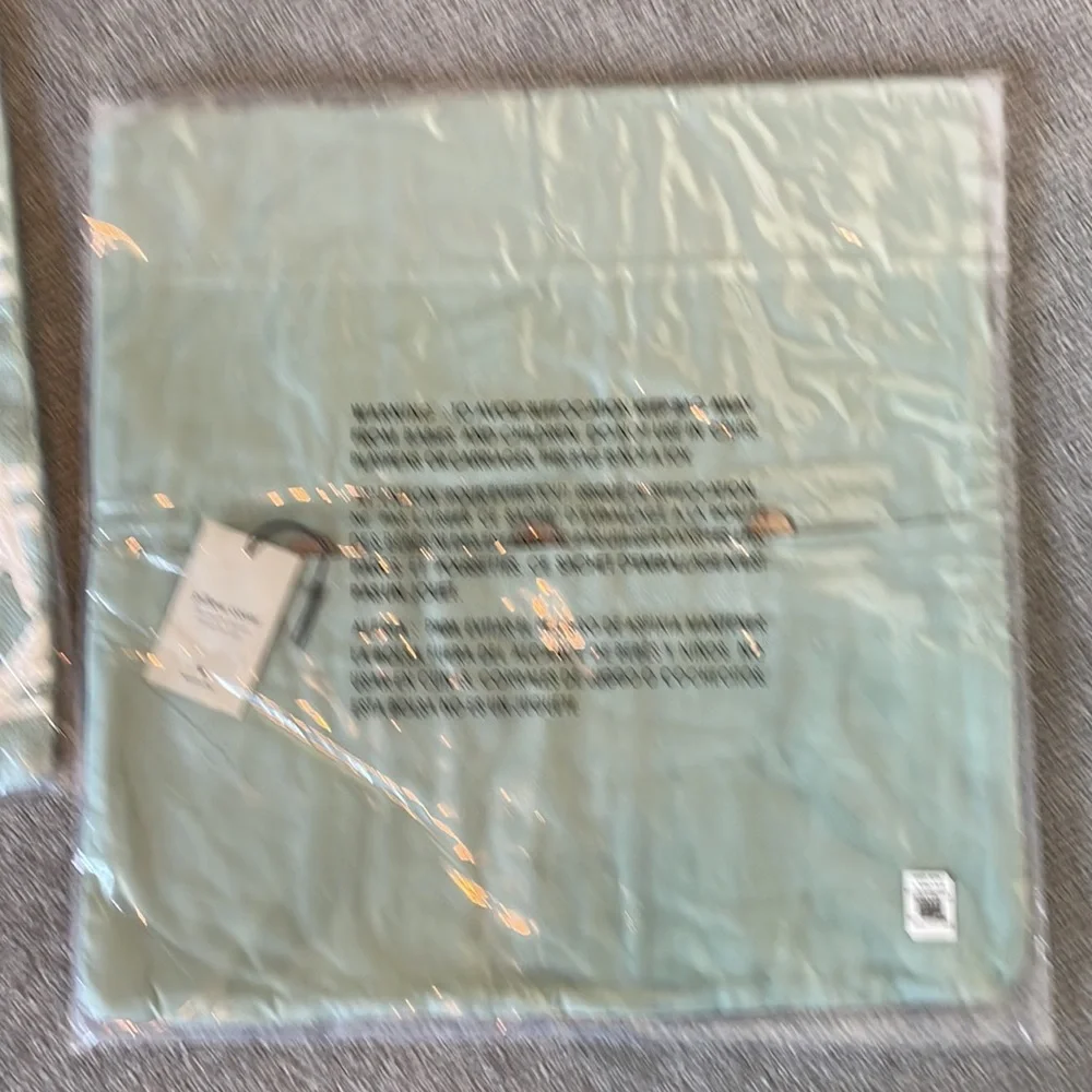 West Elm Patterned Aqua Pillow Covers - set of two